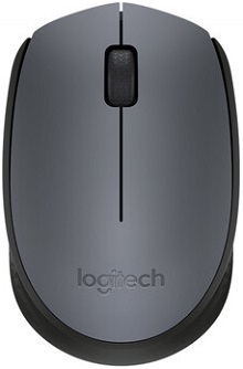 Logitech M170